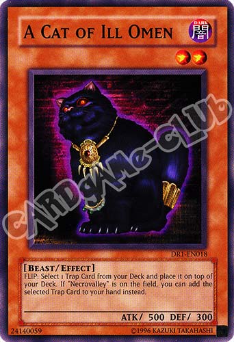 DR1-EN018 A Cat of Ill Omen comune (EN) -NEAR MINT-