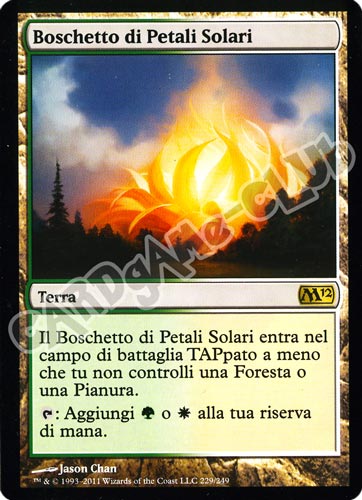 229 / 249 Boschetto di Petali Solari rara (IT) -NEAR MINT-