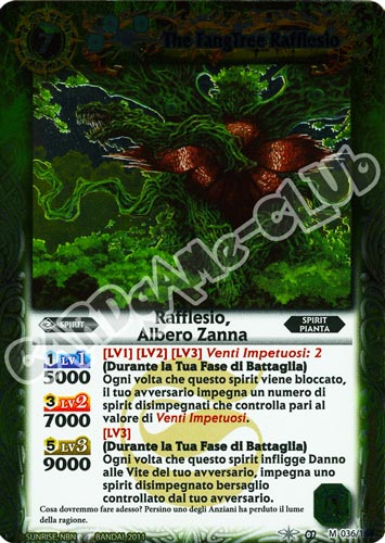 036 / 164 Rafflesio, Albero Zanna rara master (IT) -NEAR MINT-
