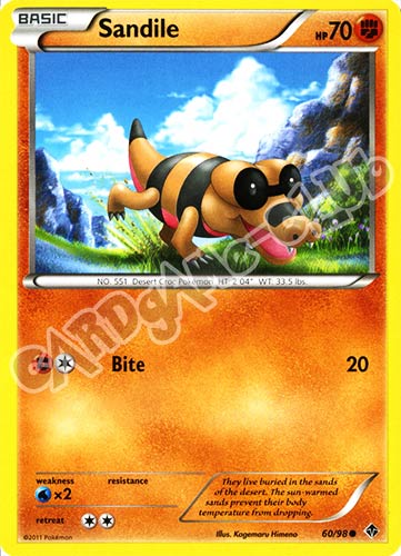 60 / 98 Sandile comune (EN) -NEAR MINT-