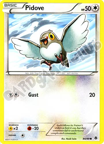 80 / 98 Pidove comune (EN) -NEAR MINT-