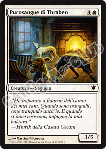 037 / 264 Purosangue di Thraben comune (IT) -NEAR MINT-