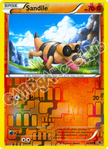 60 / 98 Sandile comune foil reverse (IT) -NEAR MINT-