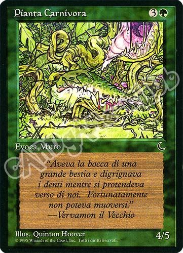 Pianta Carnivora comune (IT) -NEAR MINT-