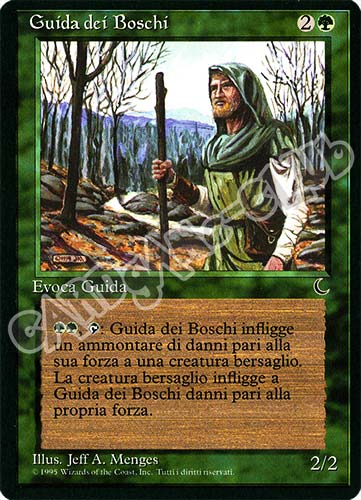 Guida dei Boschi rara (IT) -NEAR MINT-