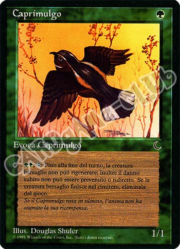 Caprimulgo non comune (IT) -NEAR MINT-