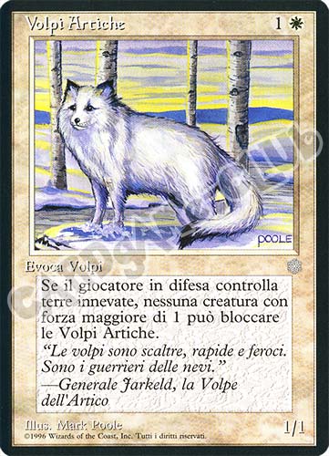Volpi Artiche comune (IT) -NEAR MINT-