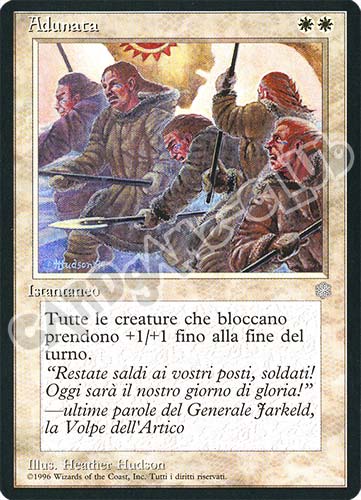 Adunata comune (IT) -NEAR MINT-