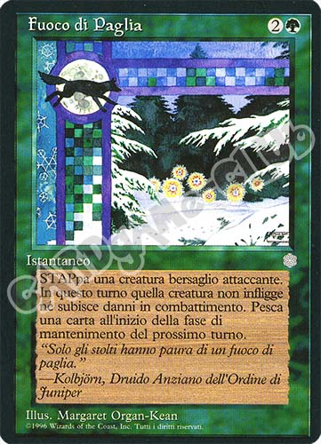 Fuoco di Paglia comune (IT) -NEAR MINT-