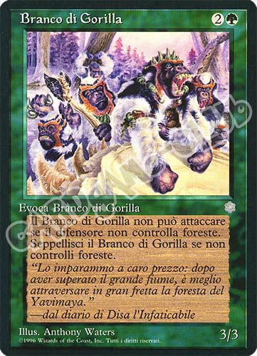 Branco di Gorilla comune (IT) -NEAR MINT-