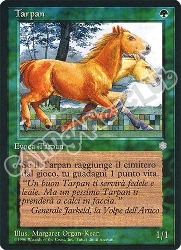 Tarpan comune (IT) -NEAR MINT-