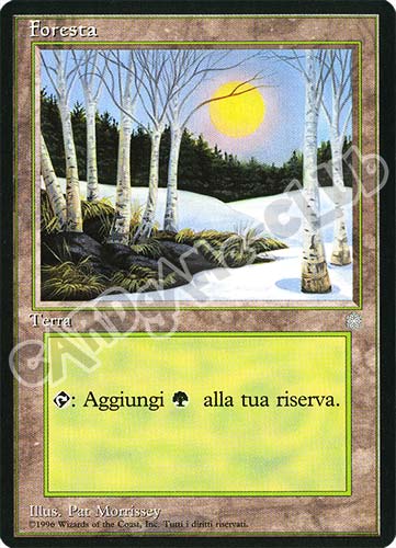 Foresta comune (IT) -NEAR MINT-