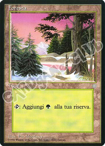 Foresta comune (IT) -NEAR MINT-