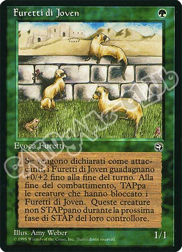 Furetti di Joven comune (IT) -NEAR MINT-