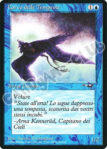 Corvo delle Tempeste comune (IT) -NEAR MINT-
