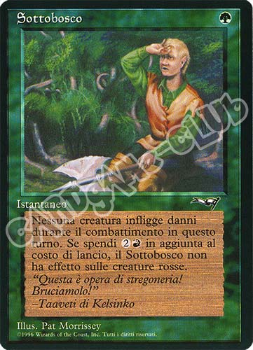 Sottobosco comune (IT) -NEAR MINT-