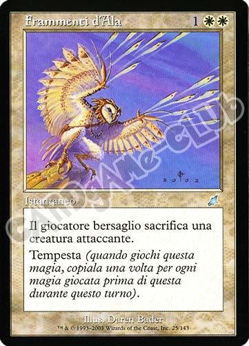 025 / 143 Frammenti d'Ala non comune (IT) -NEAR MINT-