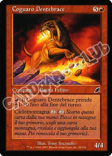 084 / 143 Coguaro Dentebrace comune (IT) -NEAR MINT-