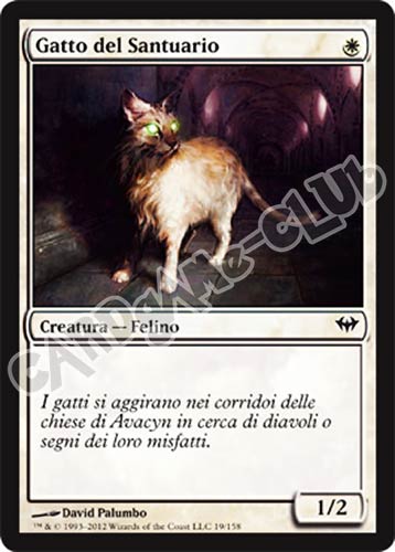 019 / 158 Gatto del Santuario comune (IT) -NEAR MINT-