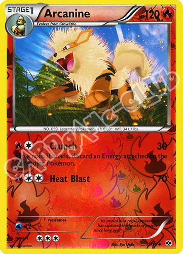 013 / 099 Arcanine non comune foil reverse (EN) -NEAR MINT-