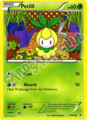 004 / 101 Petilil comune (EN) -NEAR MINT-