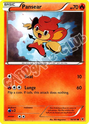 016 / 101 Pansear comune (EN) -NEAR MINT-