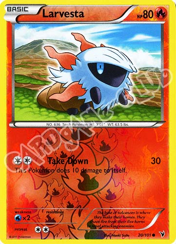 020 / 101 Larvesta comune foil reverse (EN) -NEAR MINT-