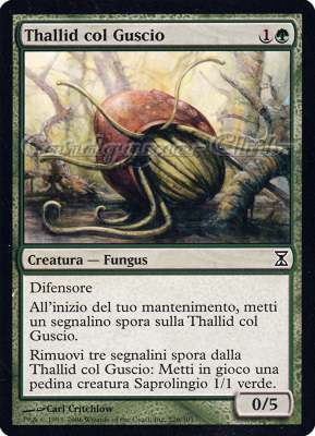 226 / 301 Thallid col Guscio comune (IT) -NEAR MINT-