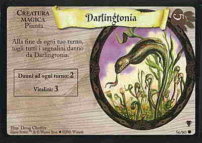 56/80 Darlingtonia comune (IT)