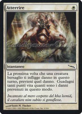 006 / 306 Atterrire comune (IT) -NEAR MINT-