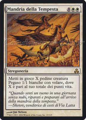 019 / 165 Mandria della Tempesta rara (IT) -NEAR MINT-