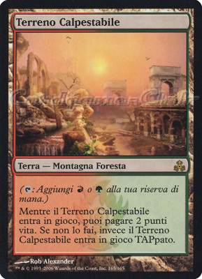 165 / 165 Terreno Calpestabile rara (IT) -NEAR MINT-