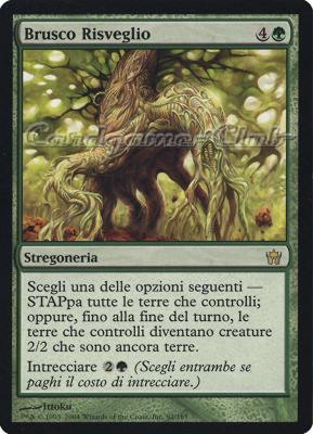 092 / 165 Brusco Risveglio rara (IT) -NEAR MINT-