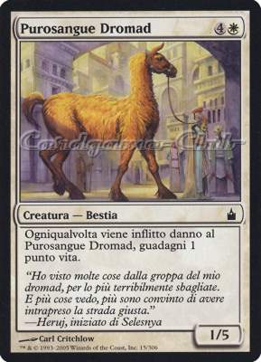 015 / 306 Purosangue Dromad comune (IT) -NEAR MINT-
