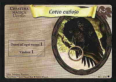 080/116 Corvo curioso comune (IT)