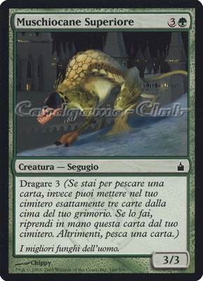 169 / 306 Muschiocane Superiore comune (IT) -NEAR MINT-