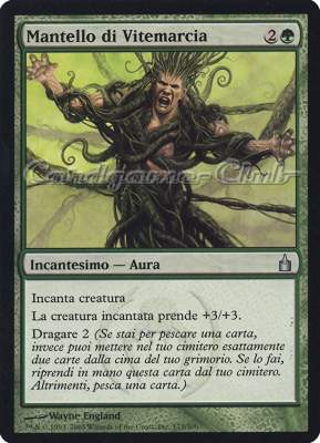 173 / 306 Mantello di Vitemarcia non comune (IT) -NEAR MINT-