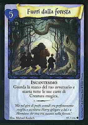 097/116 Fuori dalla foresta comune (IT)