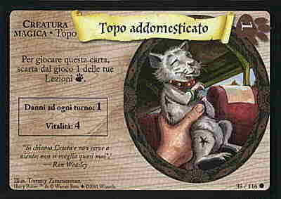 098/116 Topo addomesticato comune (IT)