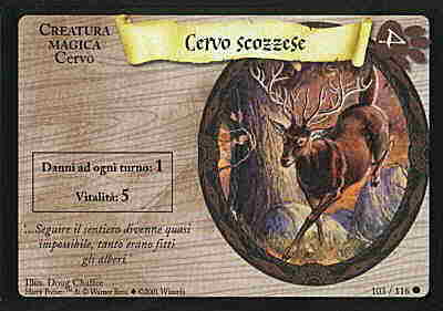 103/116 Cervo scozzese comune (IT)