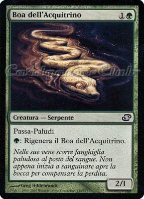 135 / 165 Boa dell'Acquitrino comune (IT) -NEAR MINT-