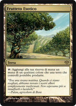 142 / 145 Frutteto Esotico rara (IT) -NEAR MINT-
