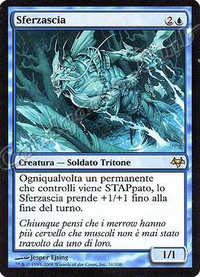 031 / 180 Sferzascia rara (IT) -NEAR MINT-