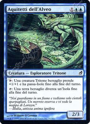 091 / 301 Aquitetti dell'Alveo comune (IT) -NEAR MINT-