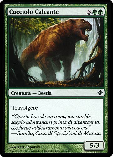 210 / 248 Cucciolo Calcante comune (IT) -NEAR MINT-