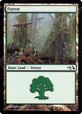 28 / 62 Forest comune -NEAR MINT-