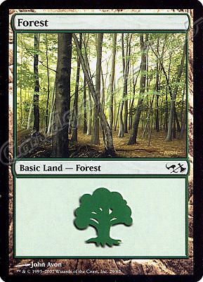 29 / 62 Forest comune -NEAR MINT-