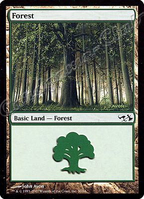 30 / 62 Forest comune -NEAR MINT-