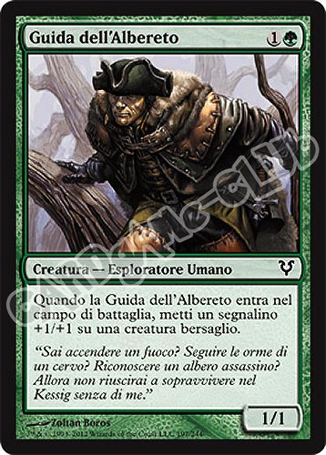 197 / 244 Guida dell'Albereto comune (IT) -NEAR MINT-