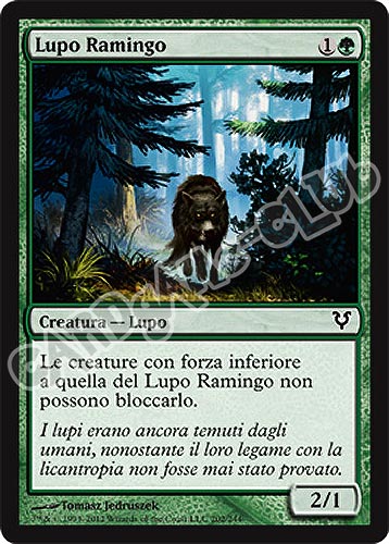 202 / 244 Lupo Ramingo comune (IT) -NEAR MINT-